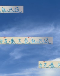 开云体育APP-申花最大危机已过！ 特谢拉后面8场比赛正常发挥 完全是一马平川