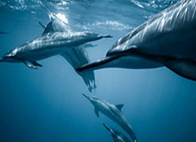 开云体育APP-七年来最差排位赛成绩！湿滑赛道令梅奔措手不及